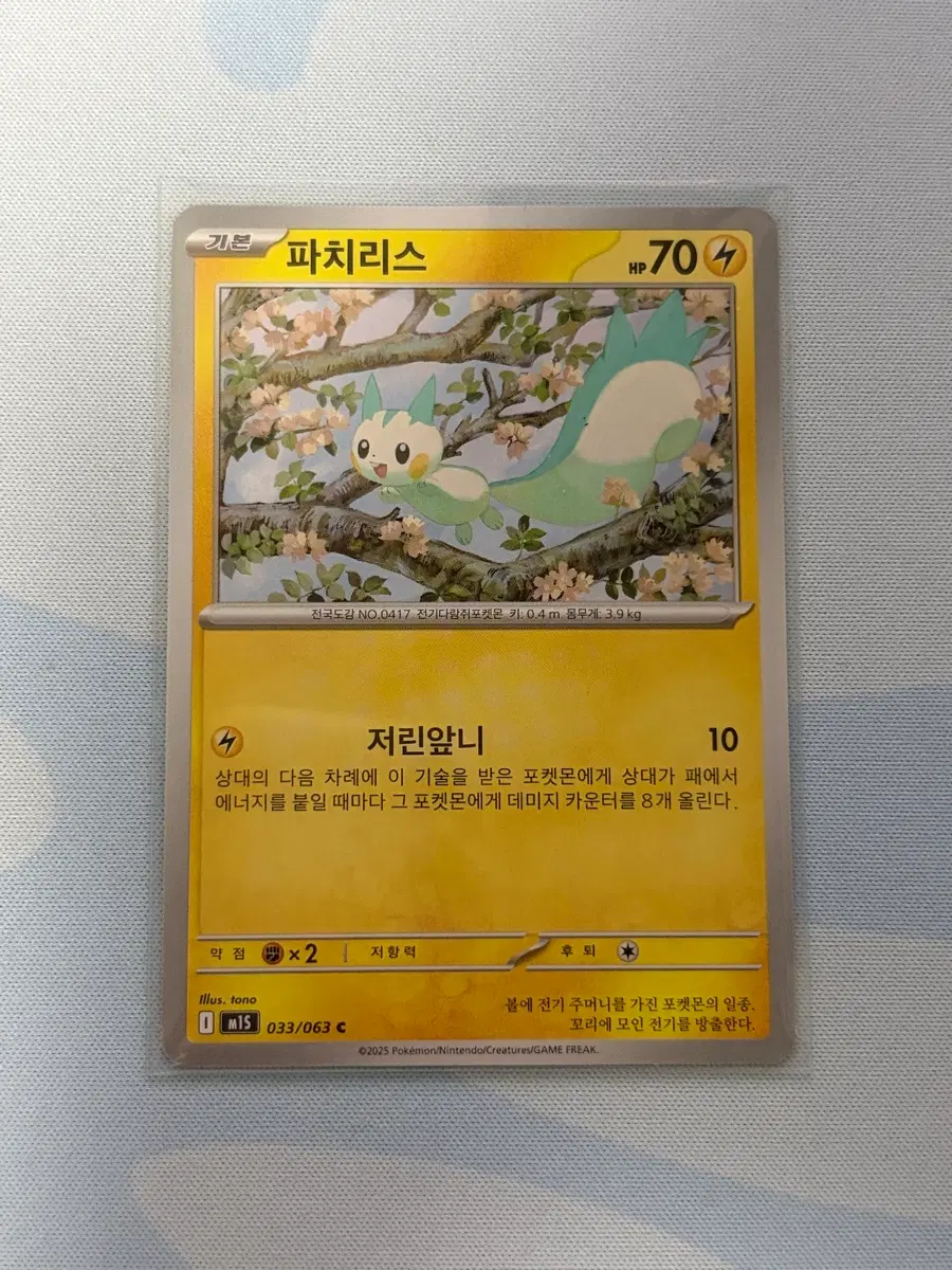 포켓몬카드 파치리스 c