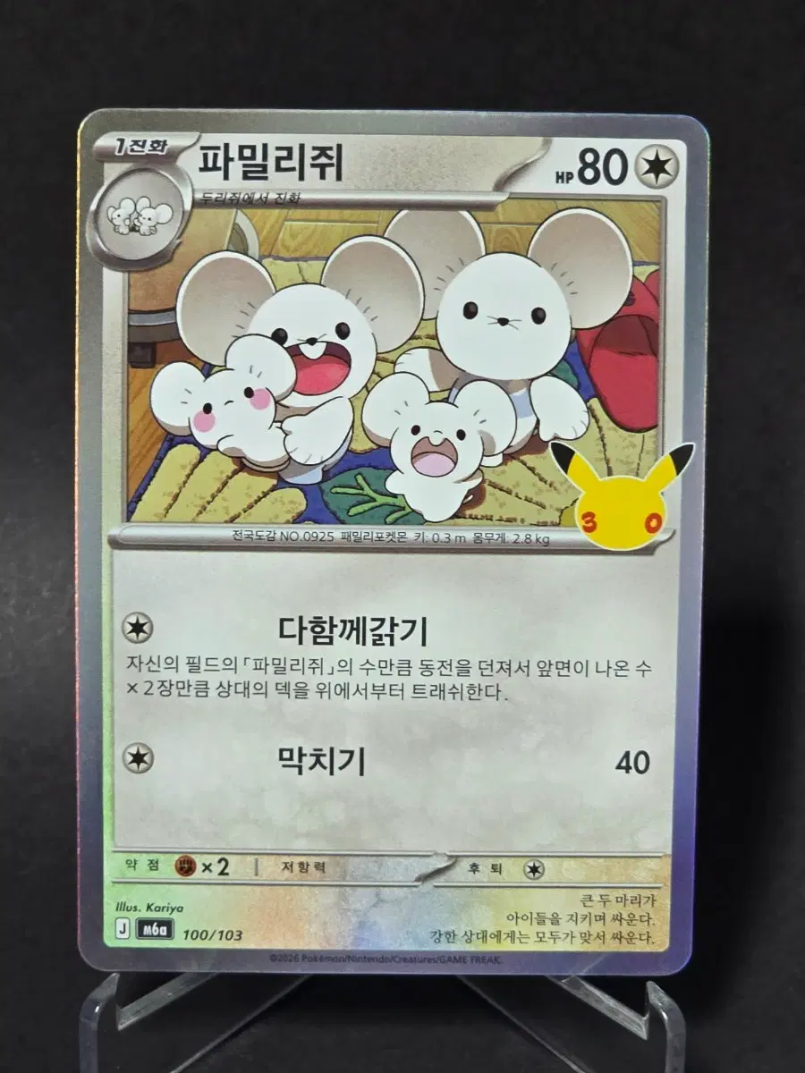 포켓몬 카드 두리쥐 파밀리쥐 4종 세트