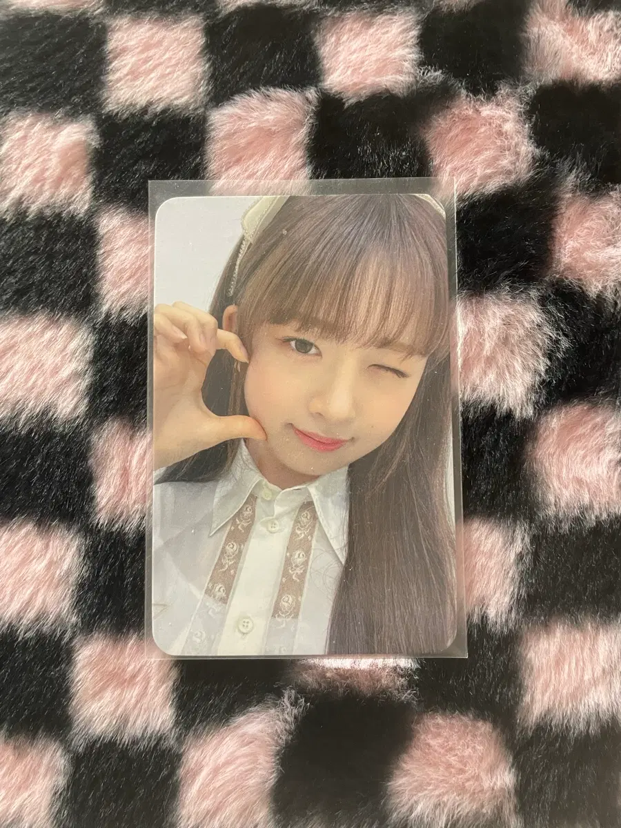아이브 레이 포카