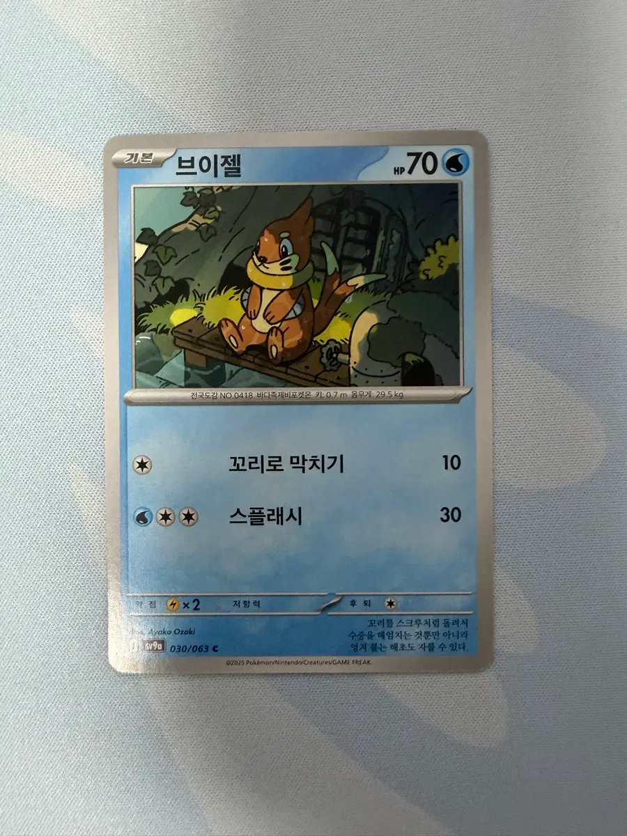 포켓몬카드 브이젤 c