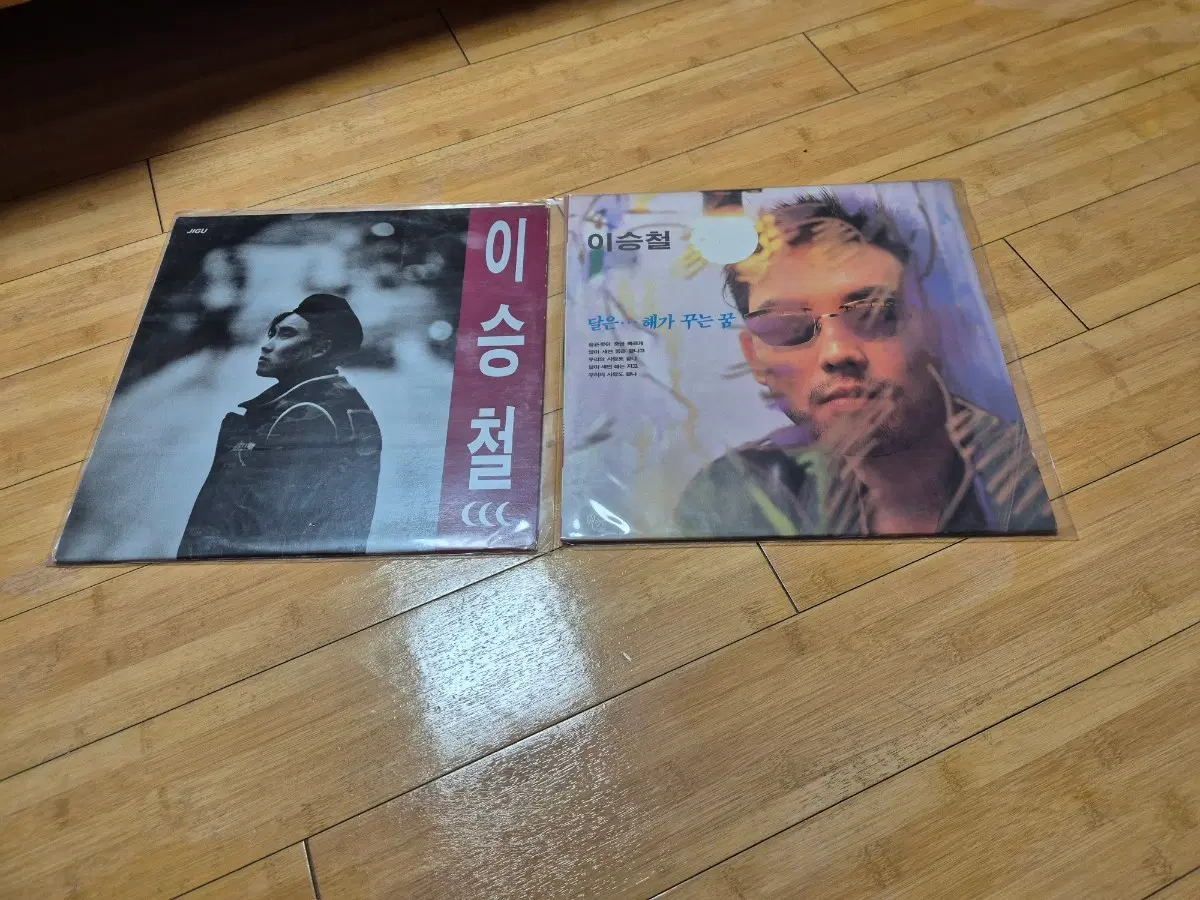 이승철 LP 2장 - '이승철' / '달은,,/이승환 1장 총3장