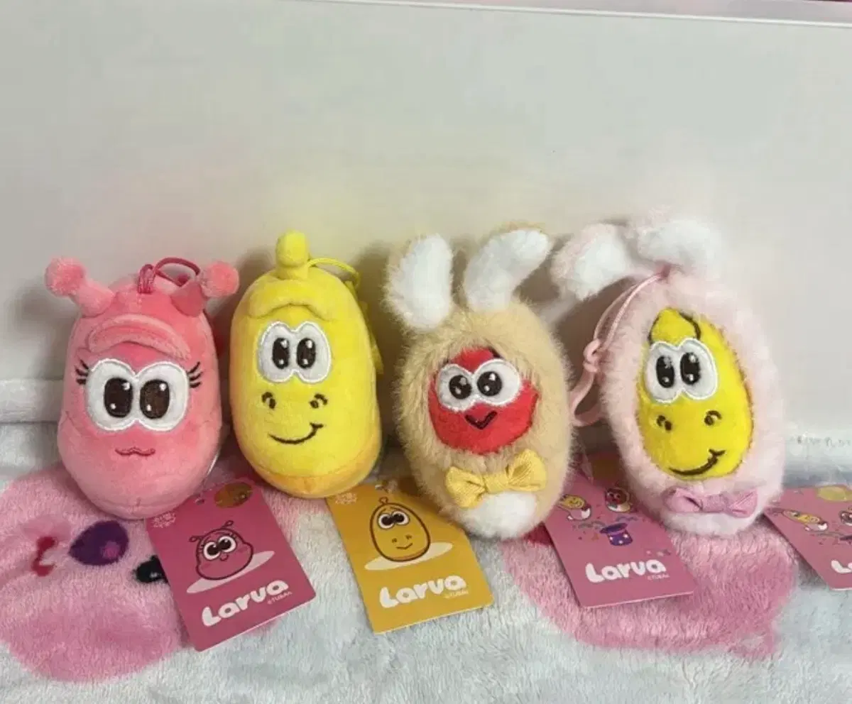 라바 인형 4종 세트