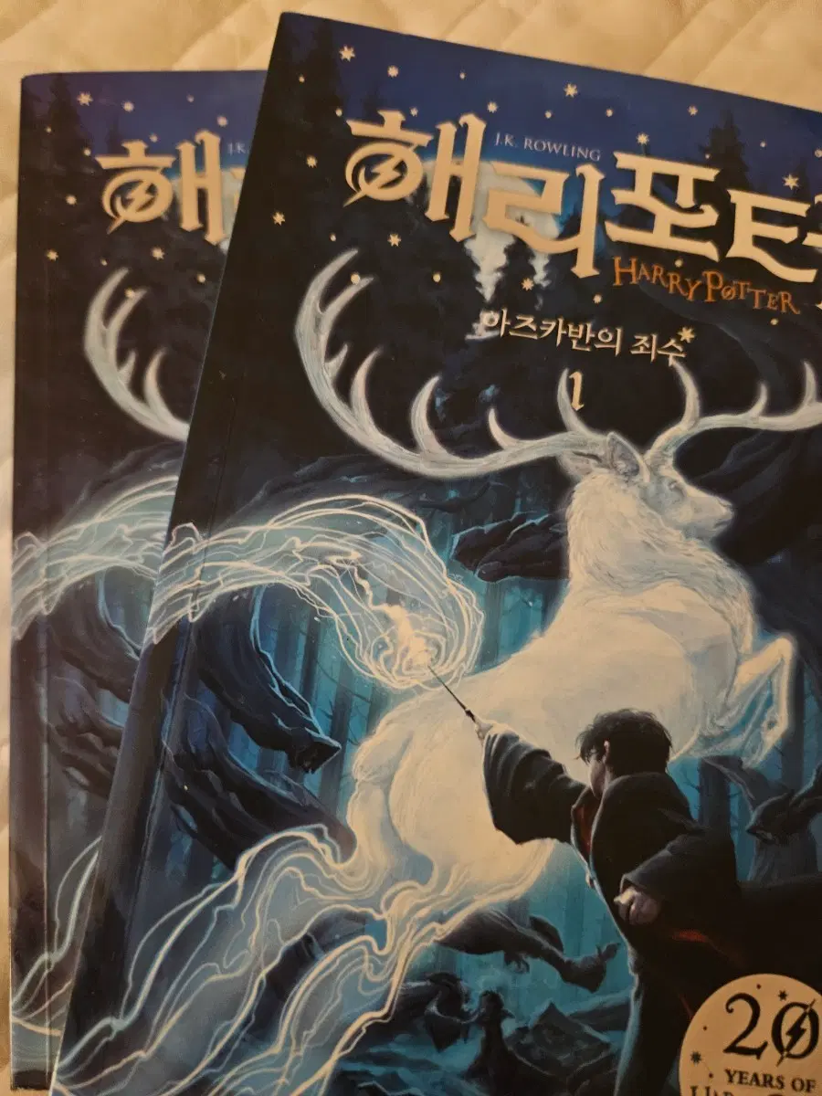 해리포터 아즈카반의 죄수