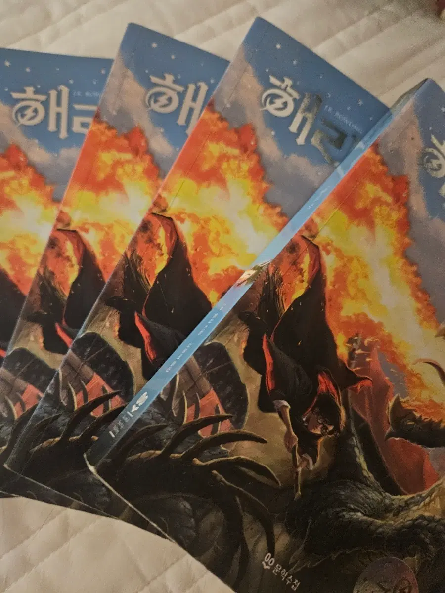 해리포터 불의 잔