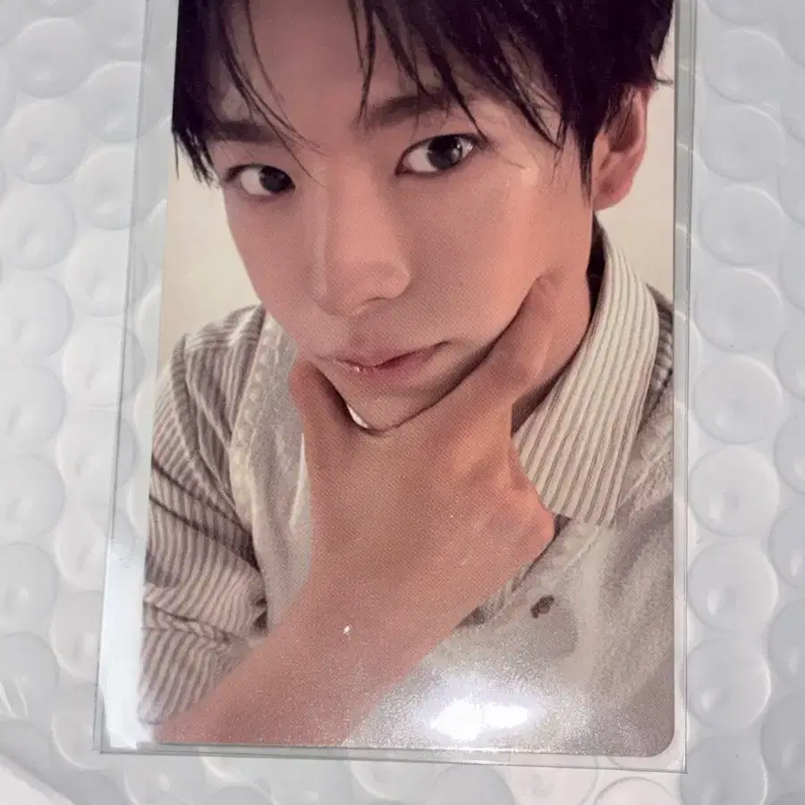 엔시티 10주년 후드집업 유우시 포카