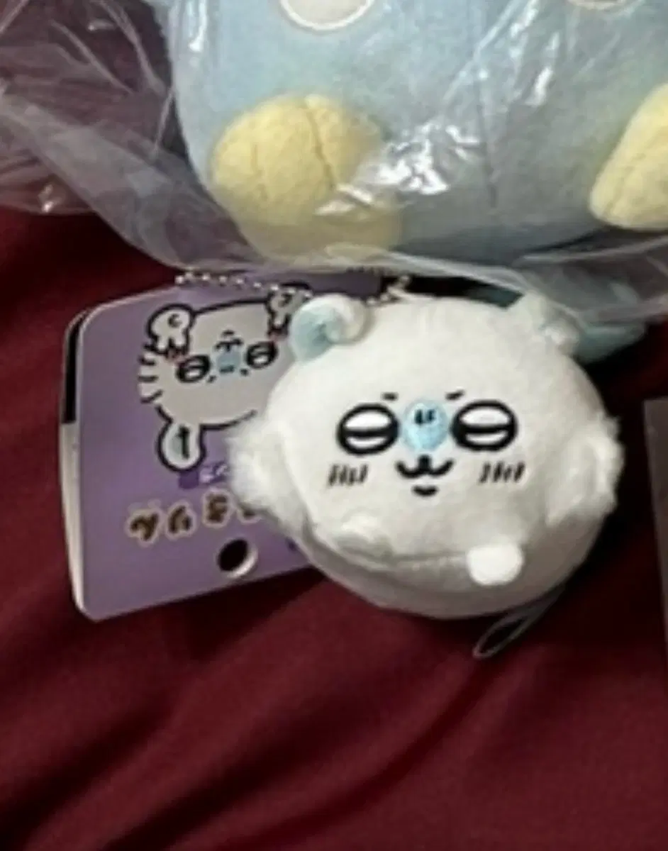 치이카와 모몽가 모찌코로링