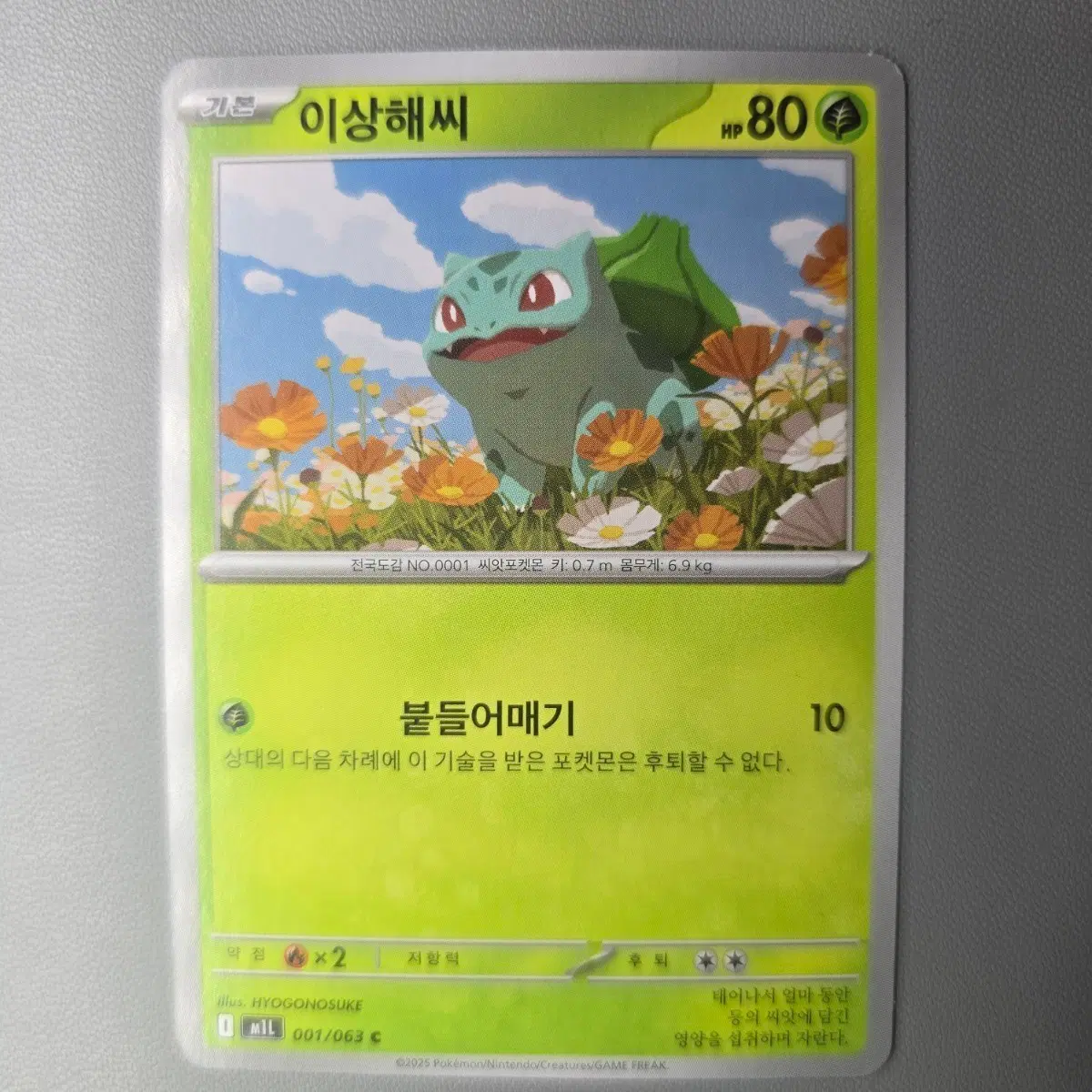 포켓몬 카드 이상해씨 001/063 C
