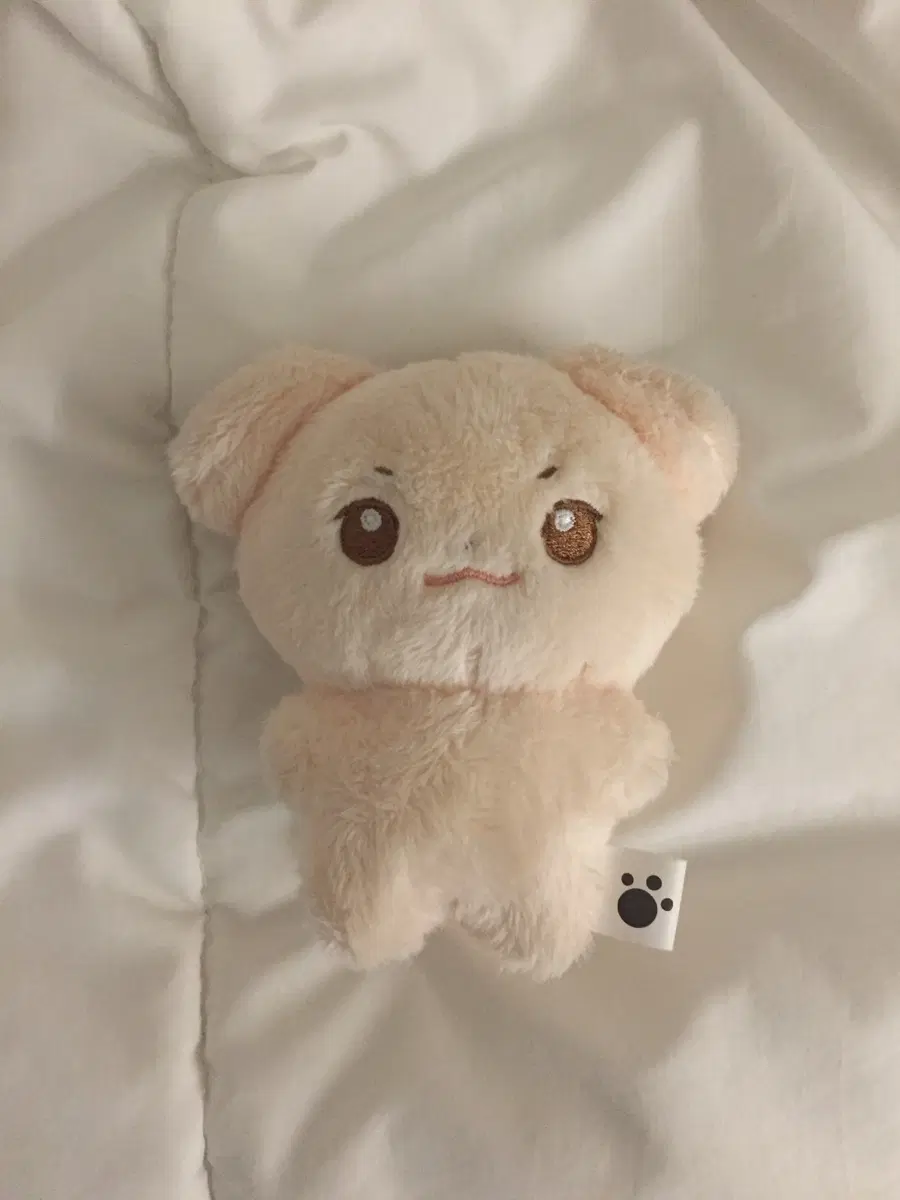 엔더블 솜규빈