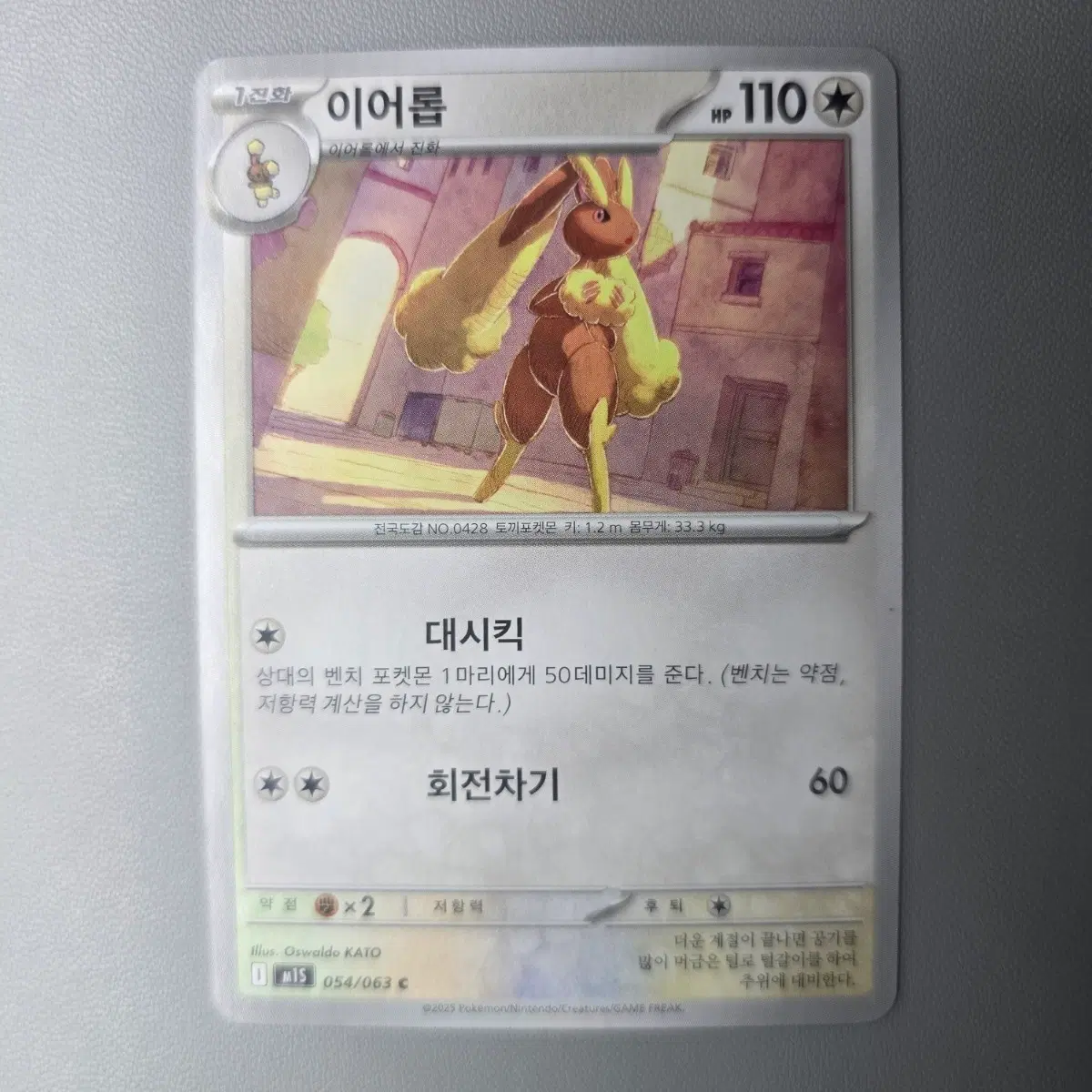 포켓몬 카드 이어롭
