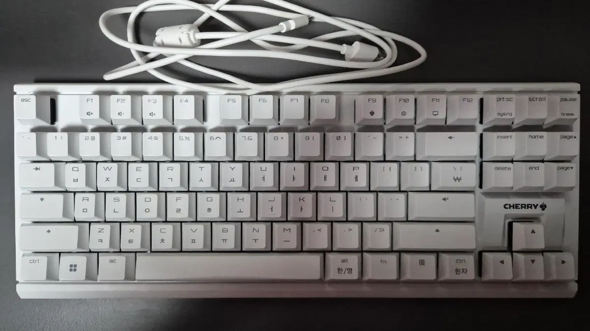 CHERRY MX 1.1 TKL 기계식 유선 텐키리스 키보드 (청축)
