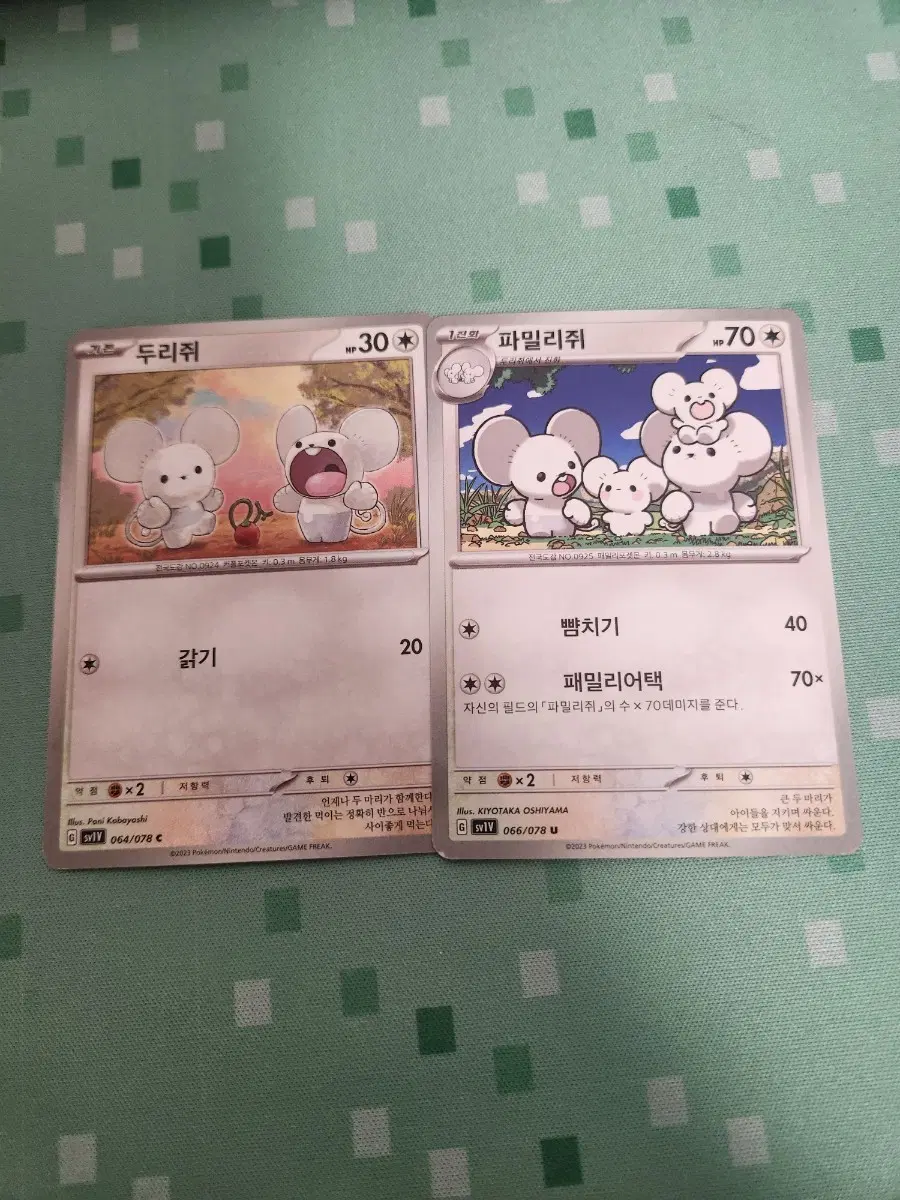 포켓몬카드 두리쥐&파밀리쥐 일반카드 세트