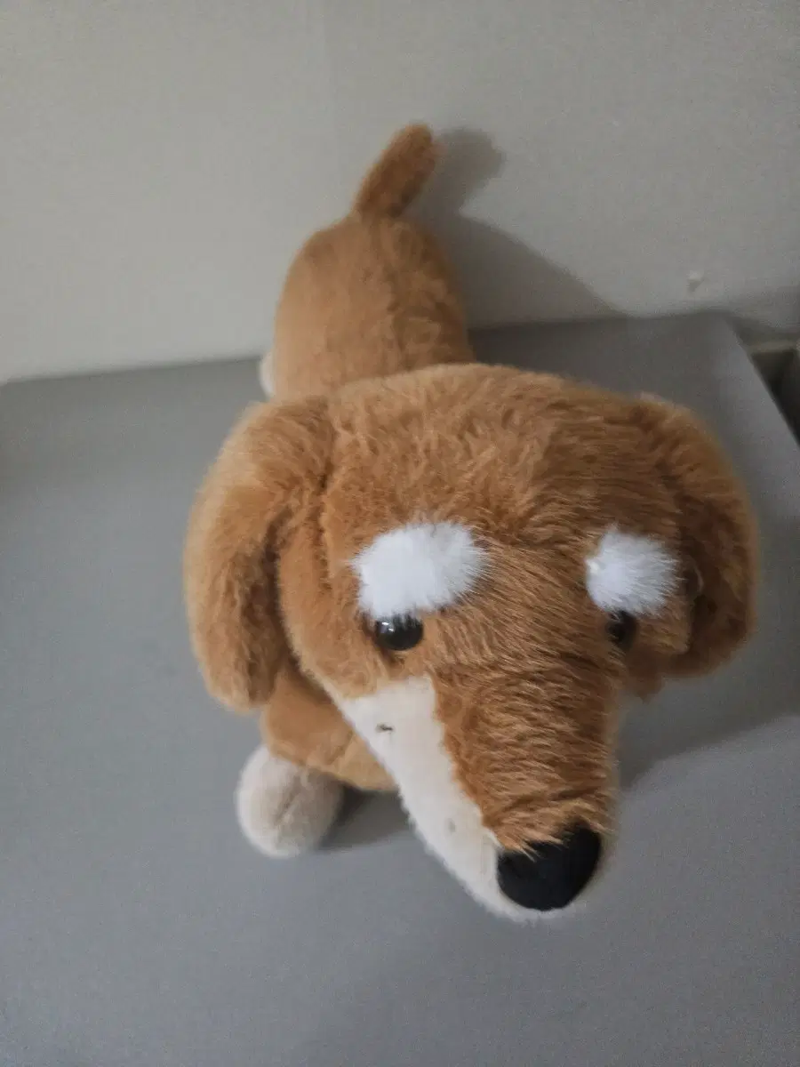 강아지 인형 갈색