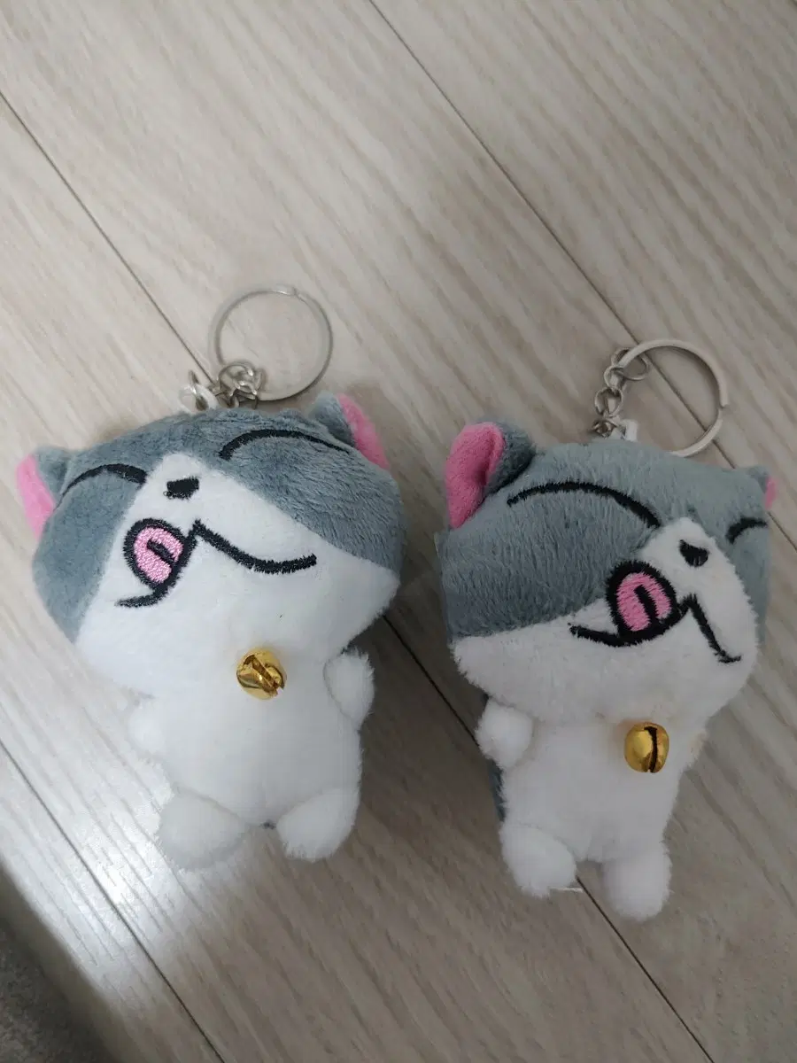 고양이 인형