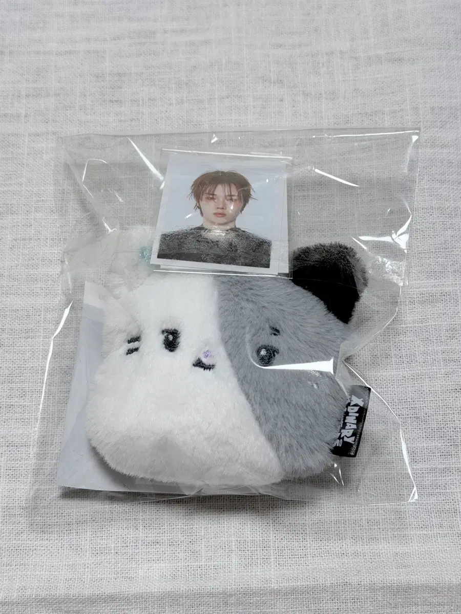 엑디즈 엑몬즈 냥듀 ID 포토 홀더 - 정수