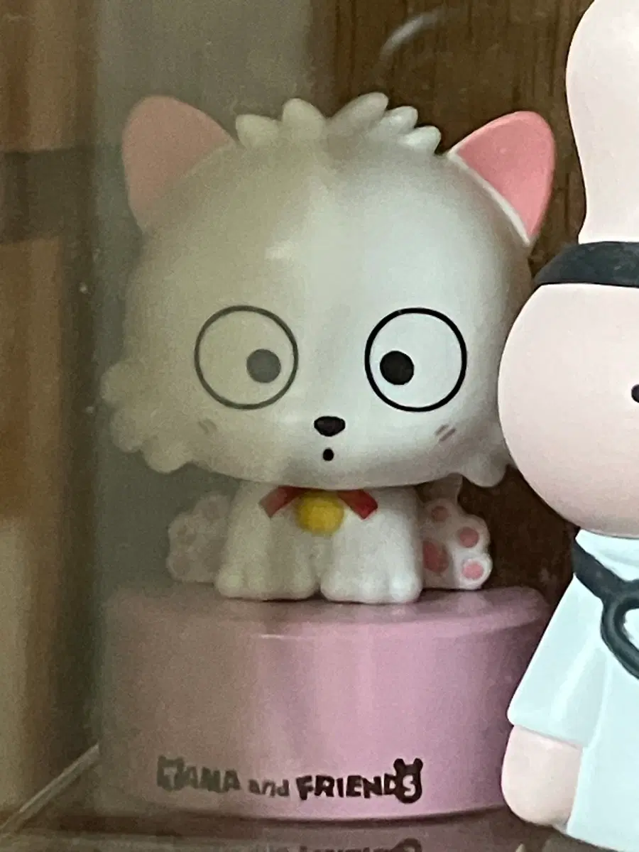 타마와 친구들