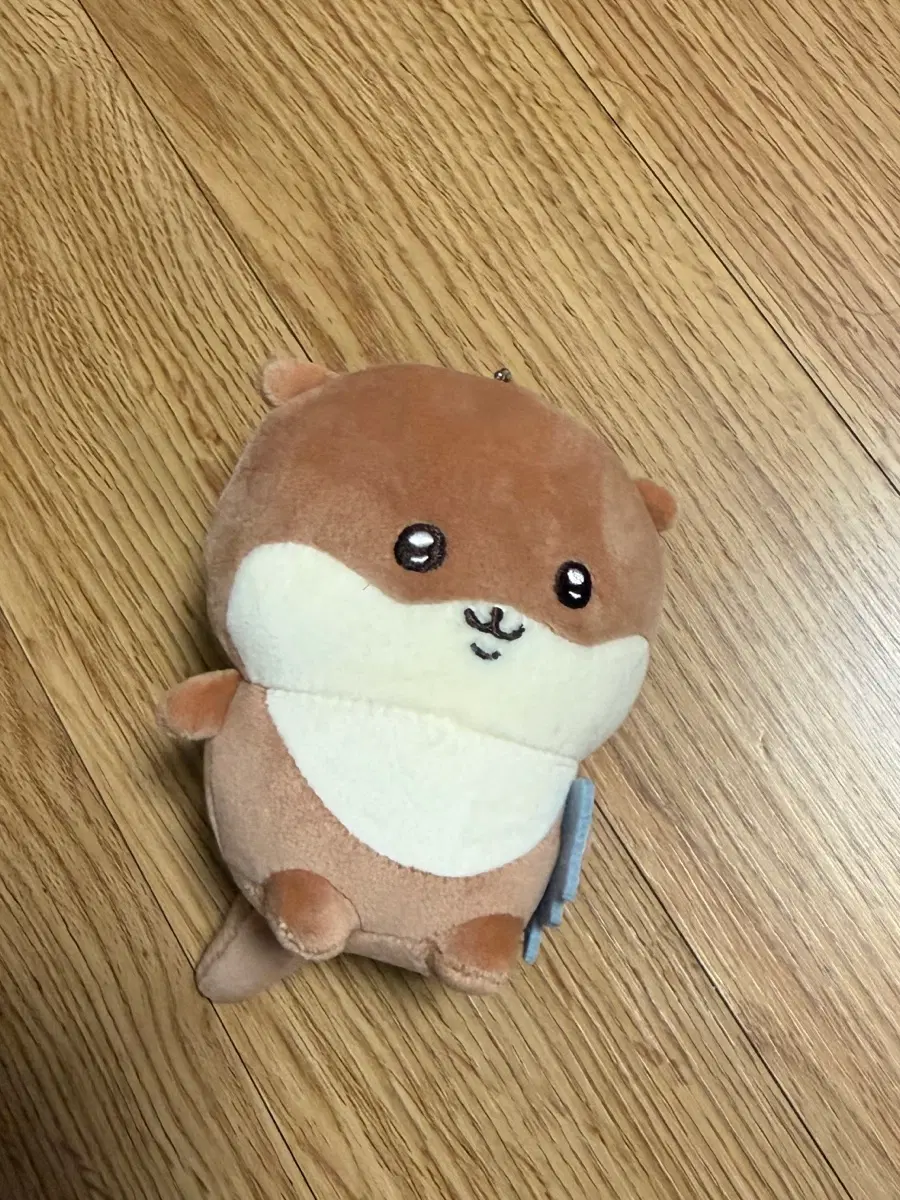 나가노 수달 쿠지 D상 양도