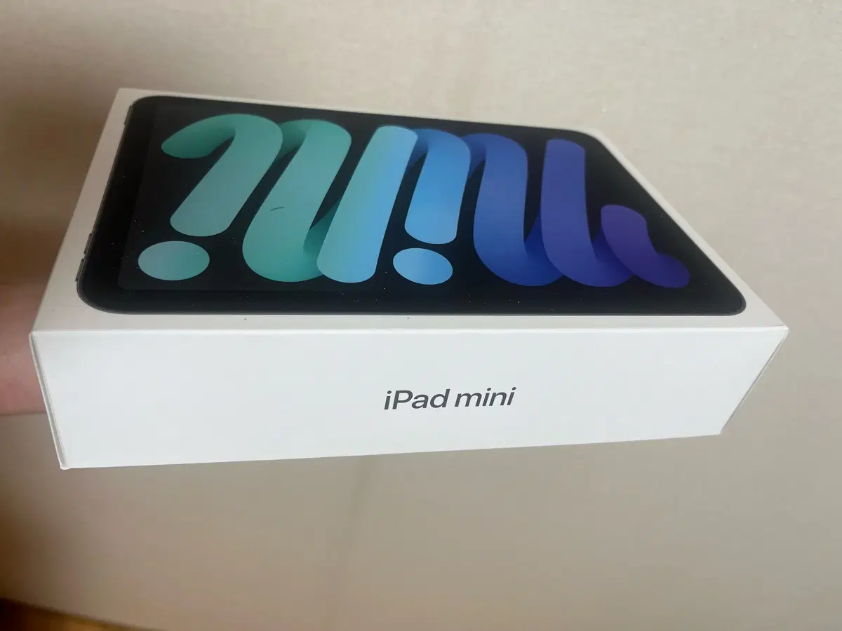 애플 아이패드 미니 17 pro 256gb