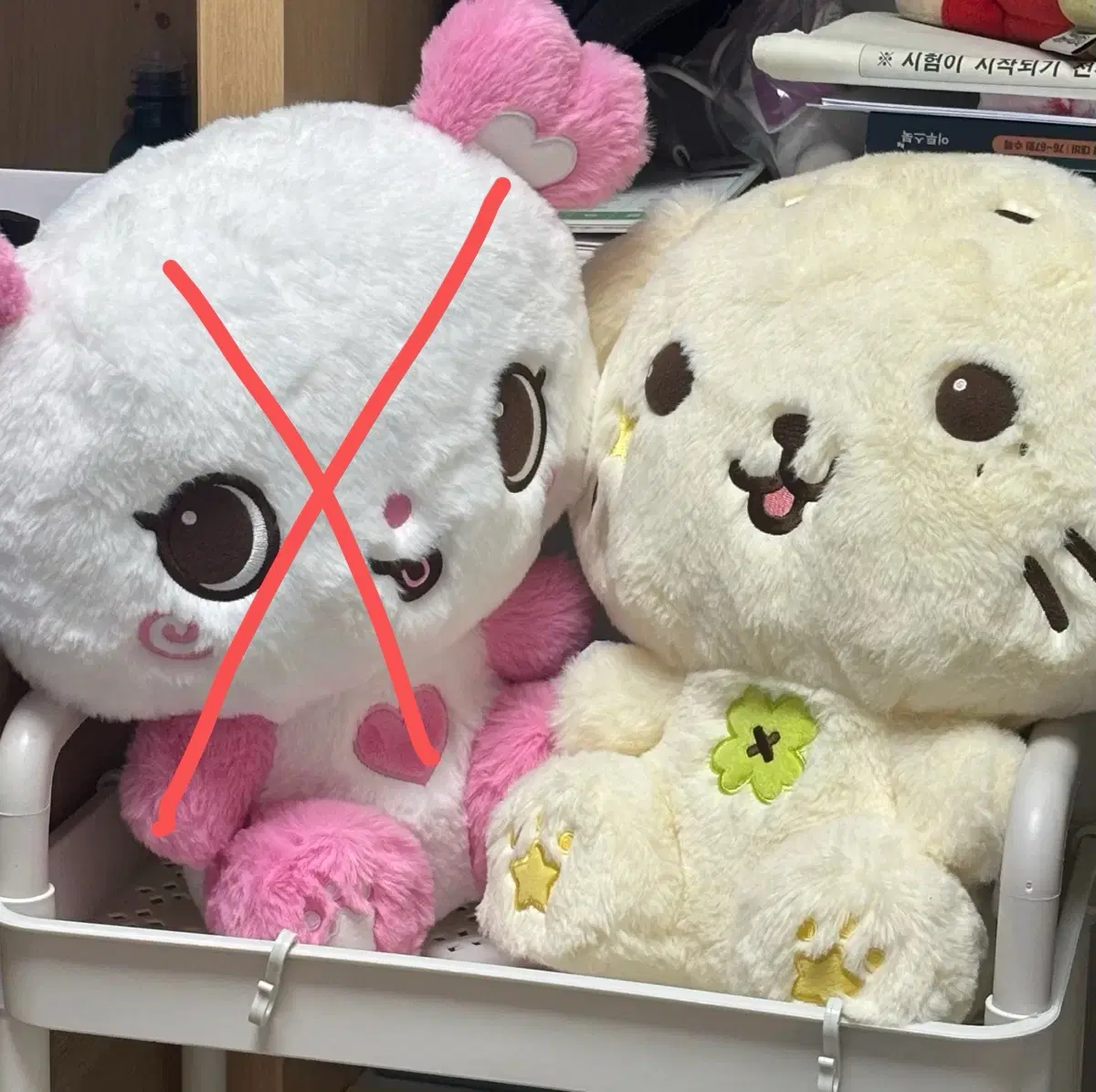 엔시티위시 위시돌 30cm 팡이 룐룐이 양도 시온 리쿠 유우시 재희 료 사쿠야 nct wish