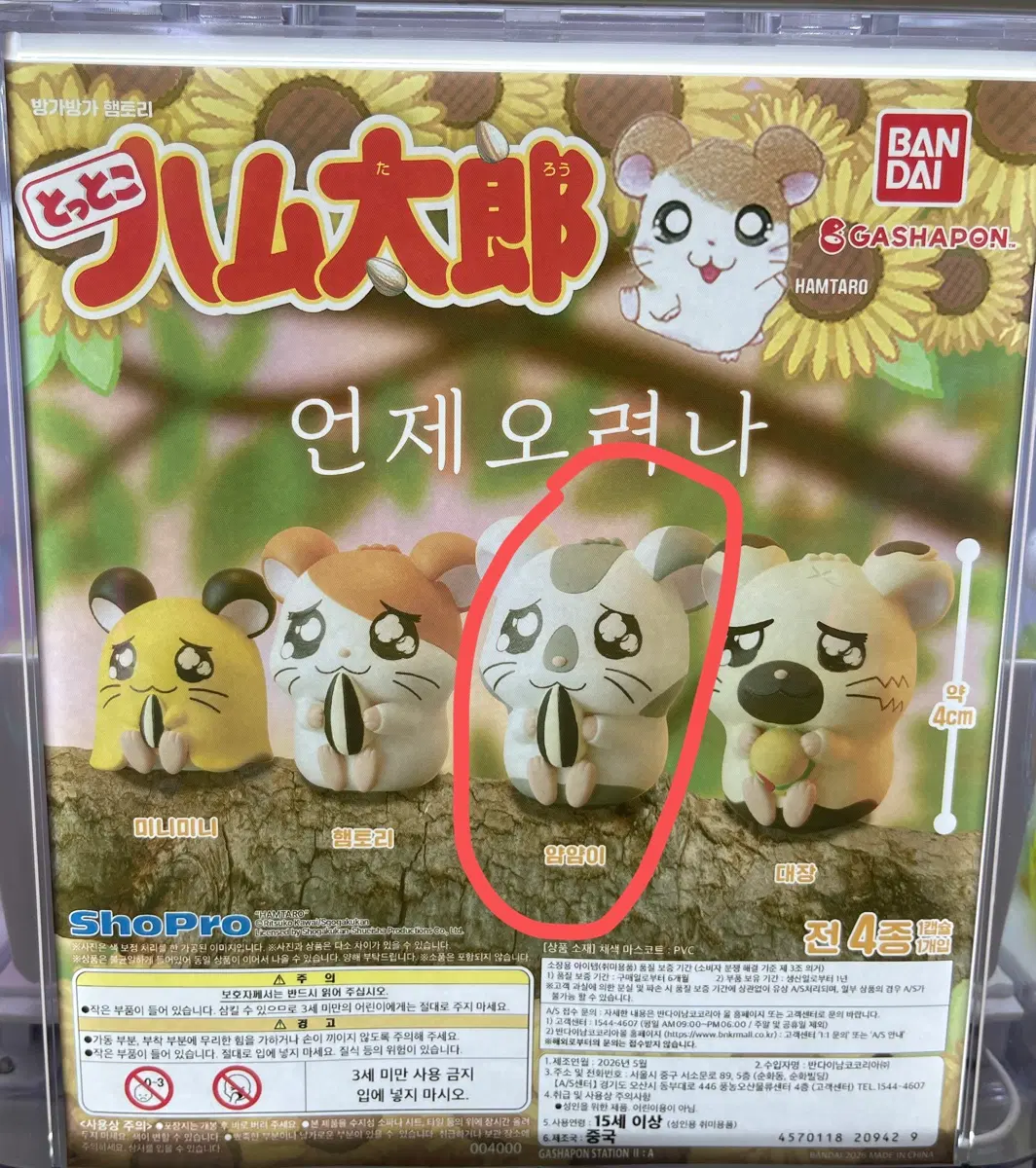 방가방가 햄토리 언제오려나 피규어 가챠 얌얌이