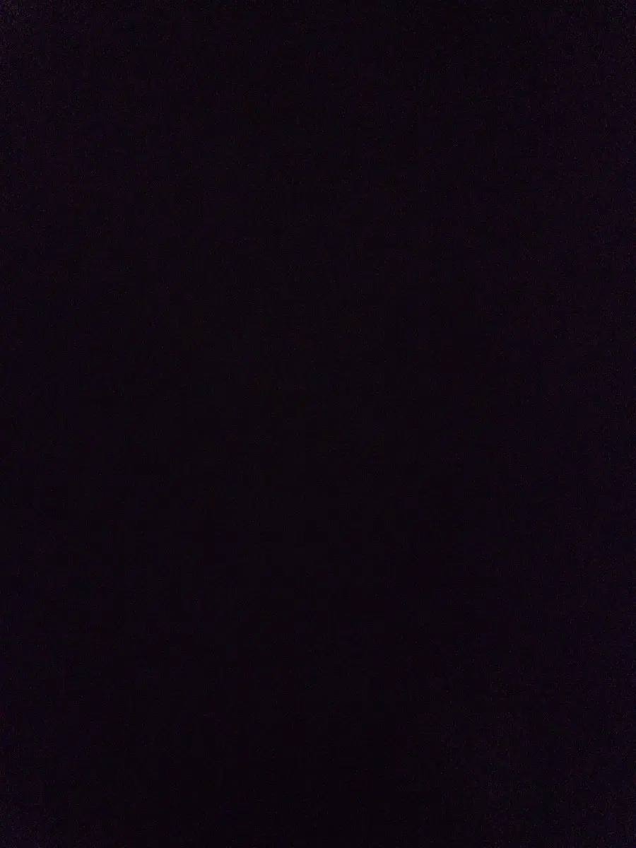 버즈3 본체 분실물 찾아요 ㅠㅠ
