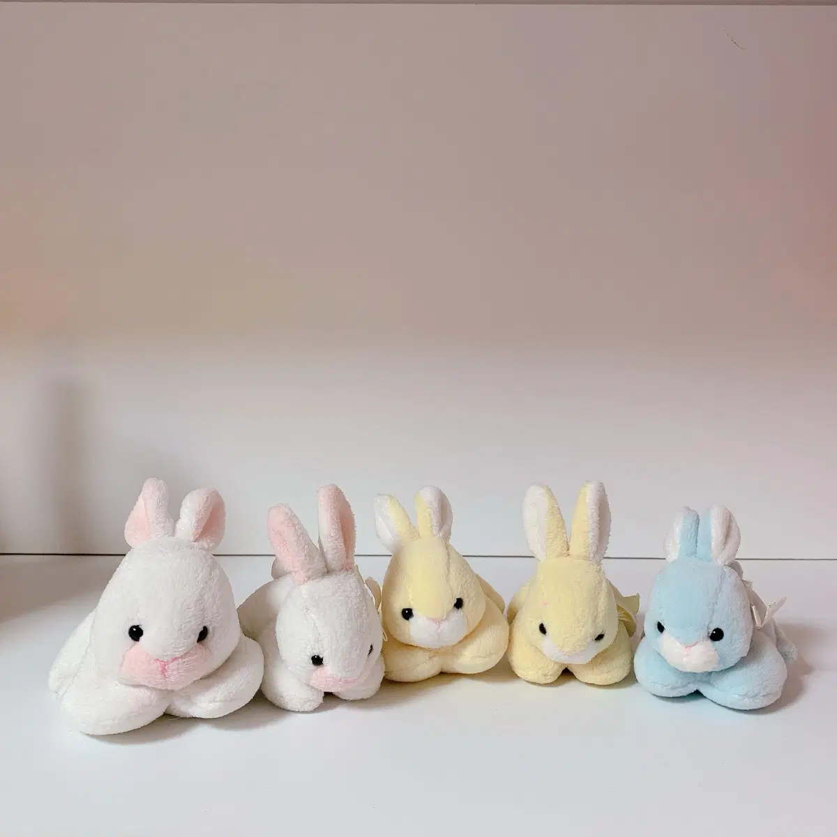 고전 토끼 인형 5개 세트 (화이트/핑크/옐로우/블루)