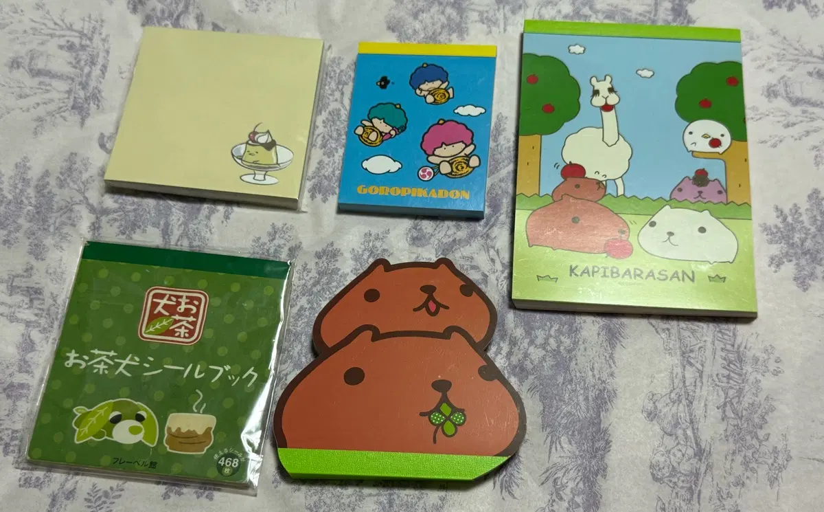 산엑스 모루카 카피바라 일괄제품