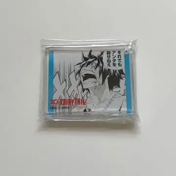 FAIRY TAIL 페어리 테일 애니메이트 카페 코롯타 그레이