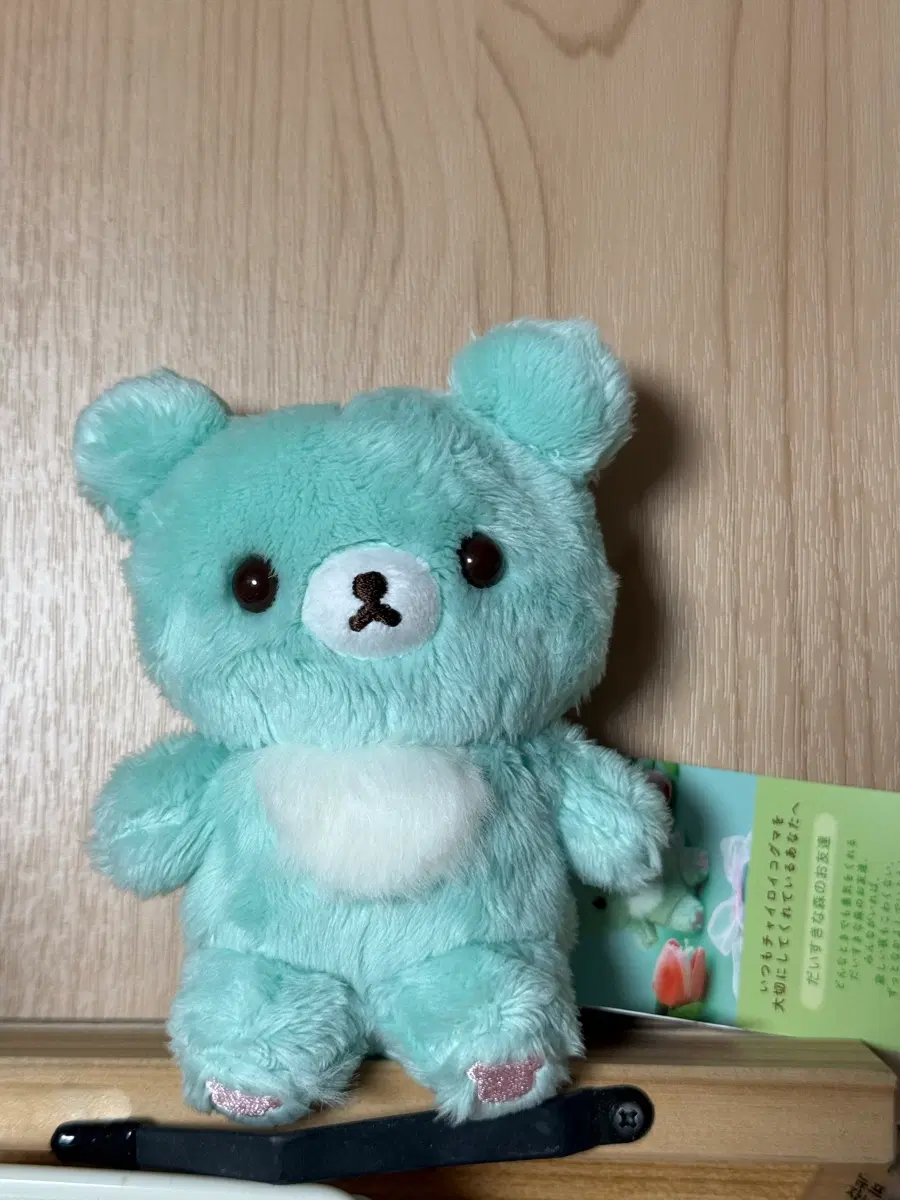 민트 코구마 팔아요 양도