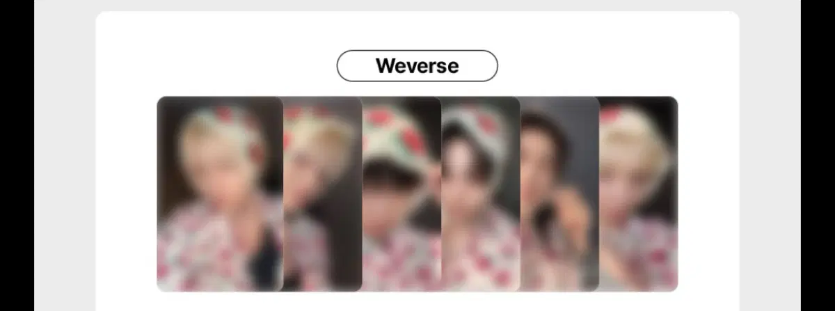 보넥도분철위버스럭스