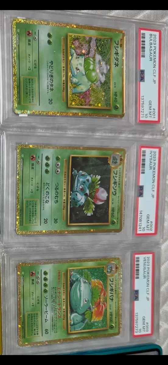 2023 포켓몬카드 부스터/이상해씨/이상해꽃 3종 세트 psa10