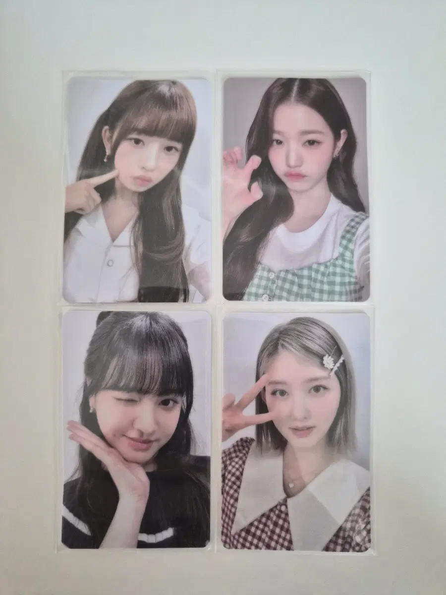 아이브 파파존스 포카