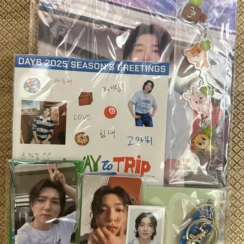 배송비포함) 데이식스 2025 시즌그리팅