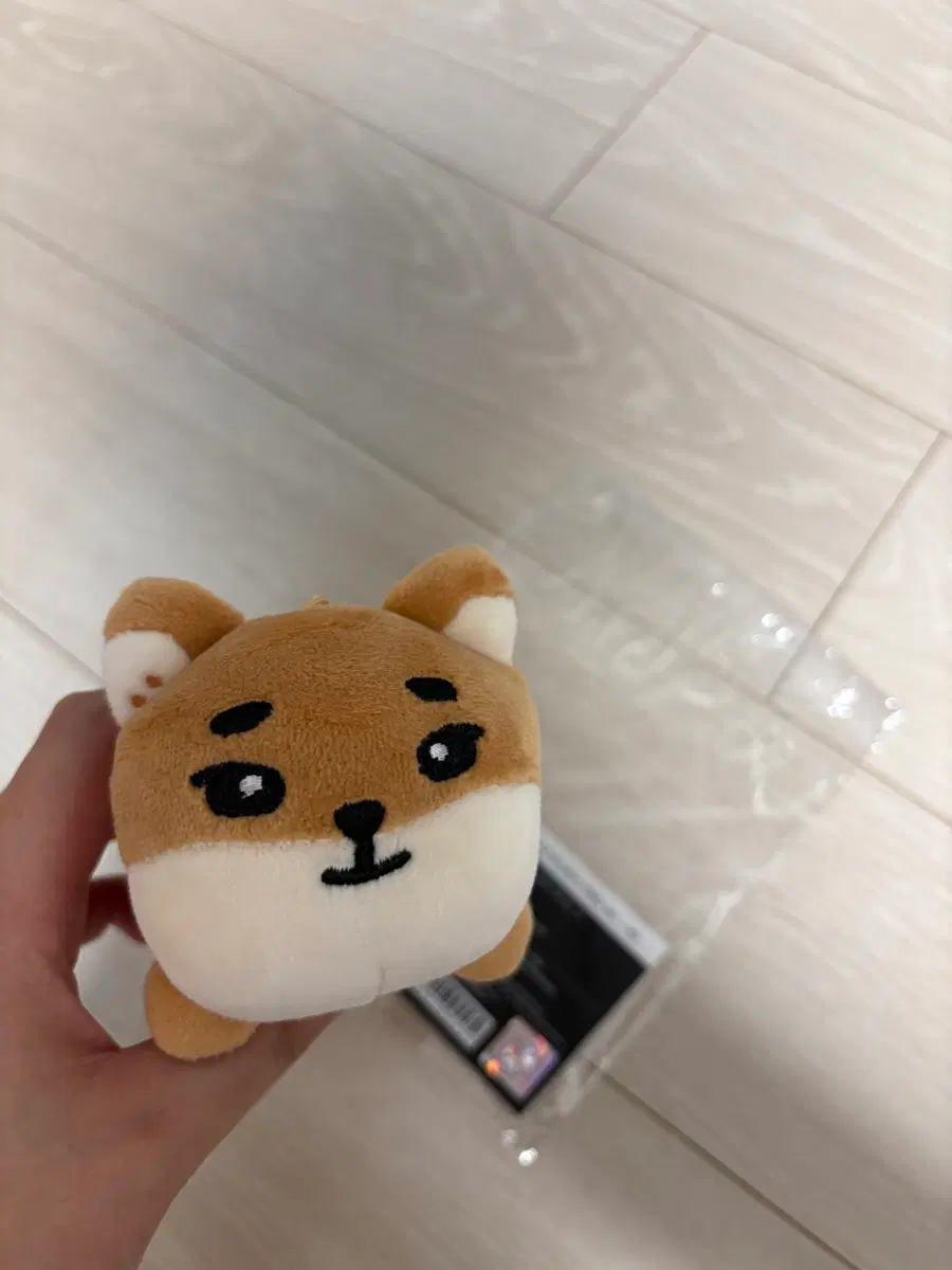 데이식스 데케이드 전투 라잉 케