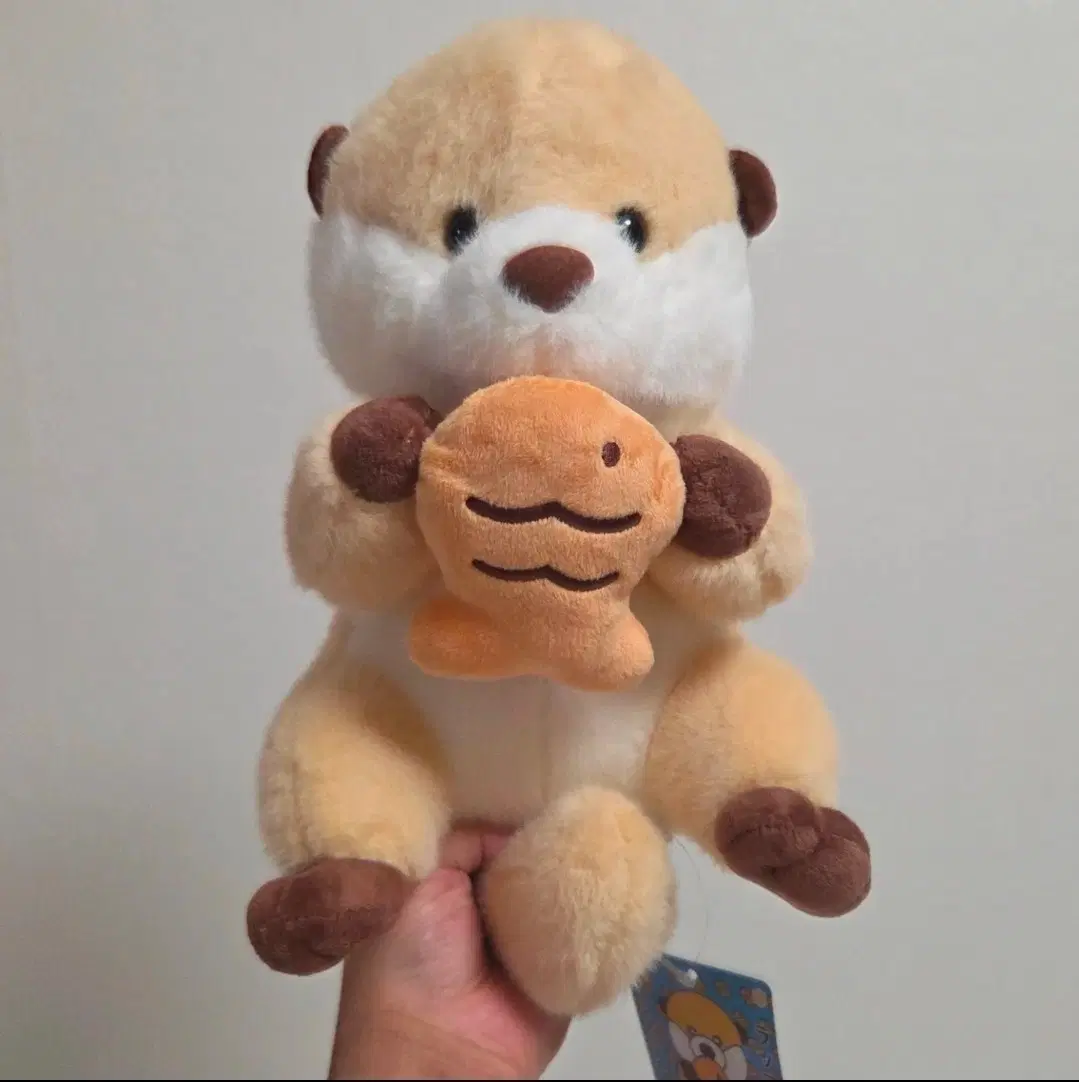 랏코상 25cm 인형