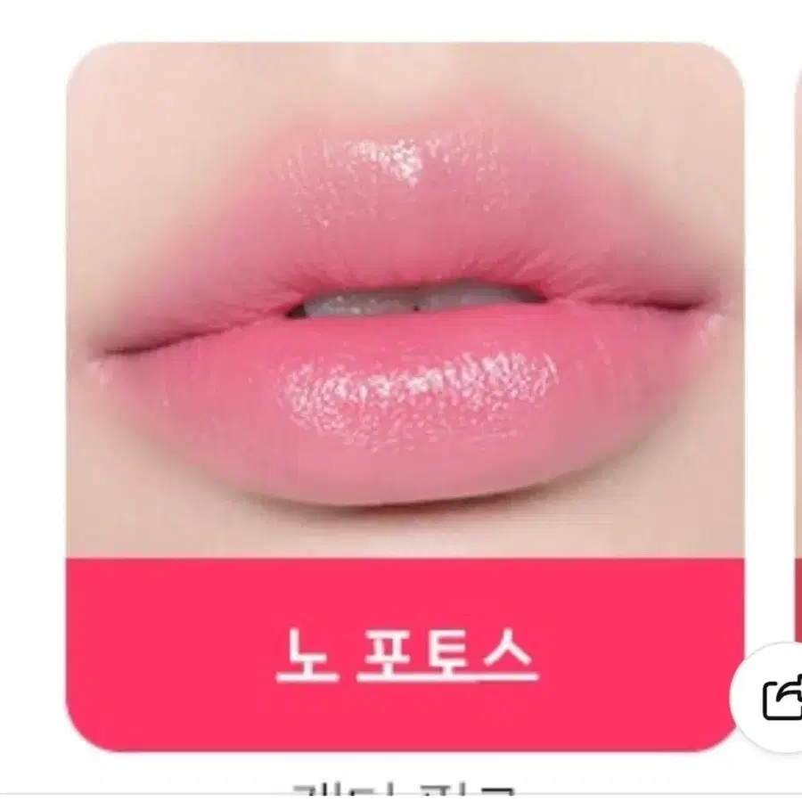 맥립스틱 노포토스 559 코랄핑크