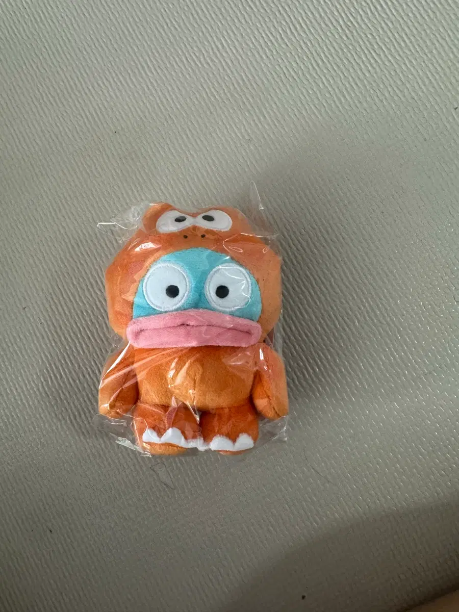 한교동 아베일 공룡