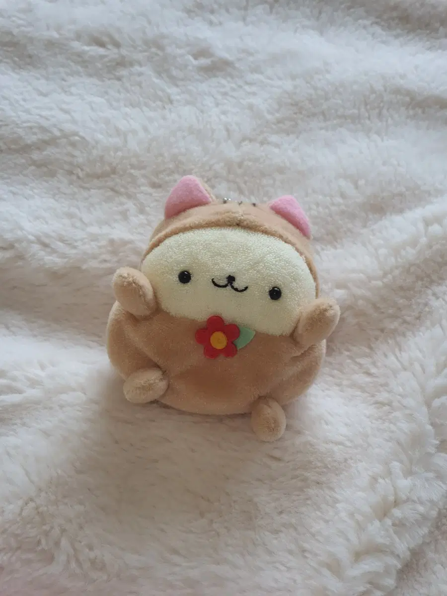 찰찰이 수건재질 고전 곰인형