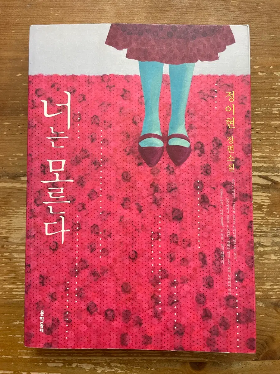 너는 모른다 - 정이현