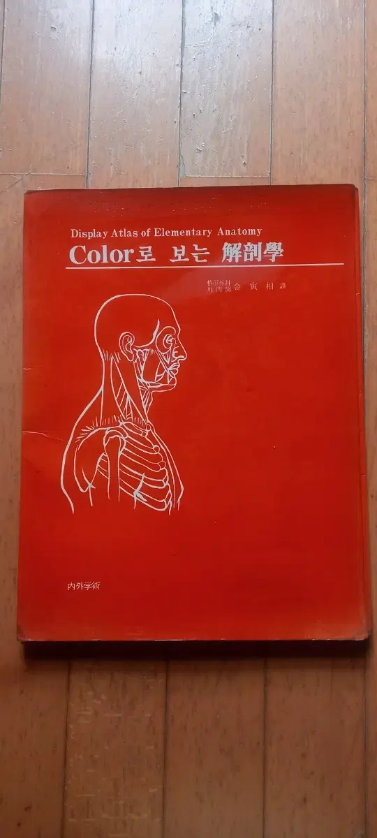 인체해부도 칼라로 보는해부학