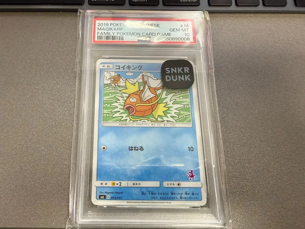 2019 포켓몬카드 잉어킹 PSA10