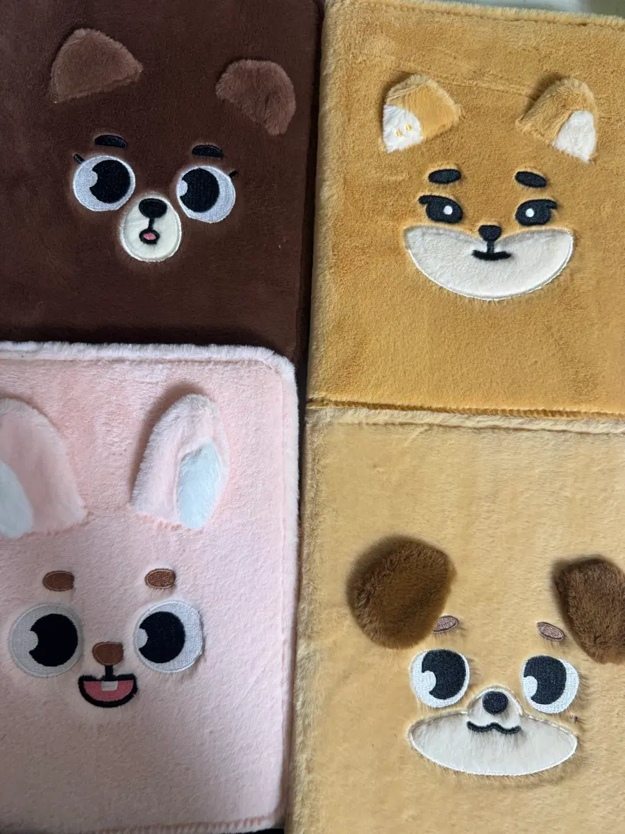 데이식스 데니멀즈 방케필돈 바인더 일괄