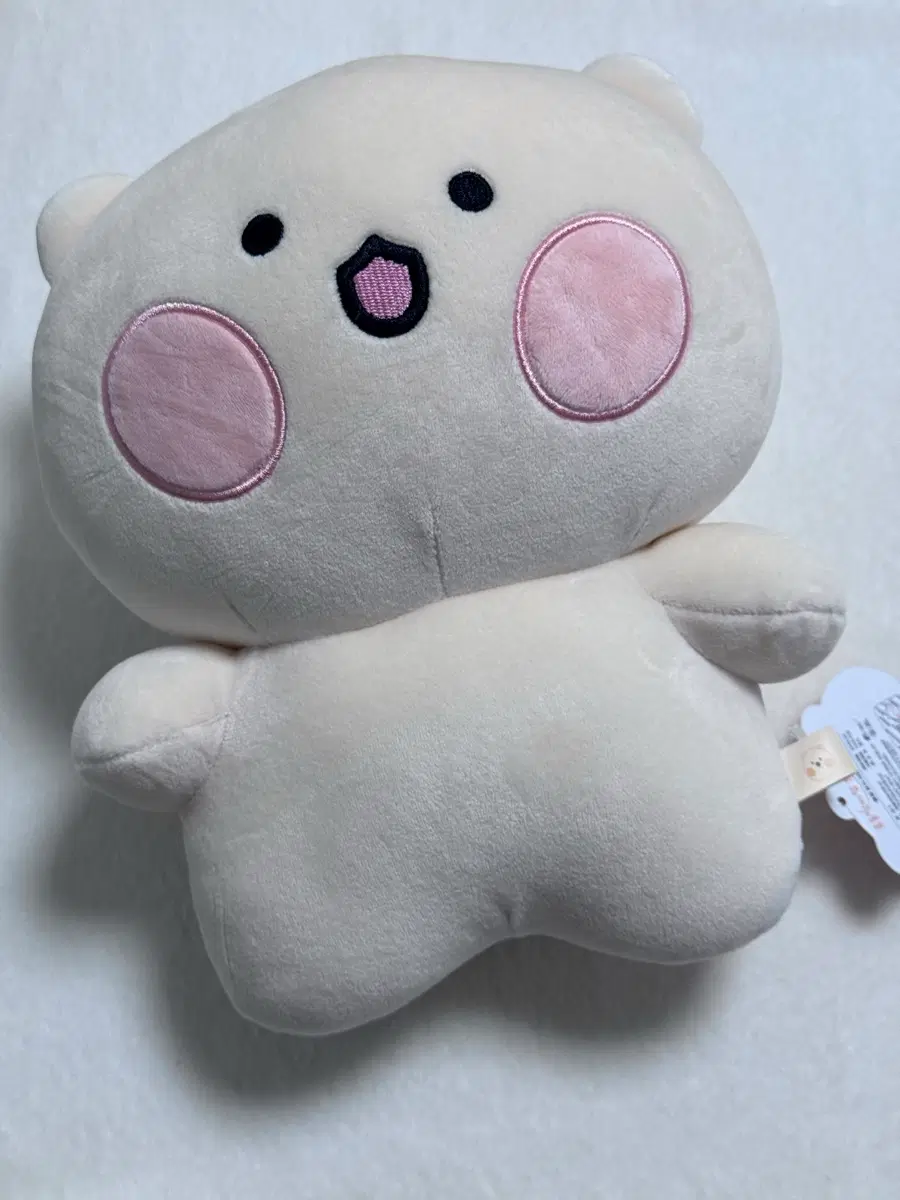 [중형인형] 곰돌찡 인형