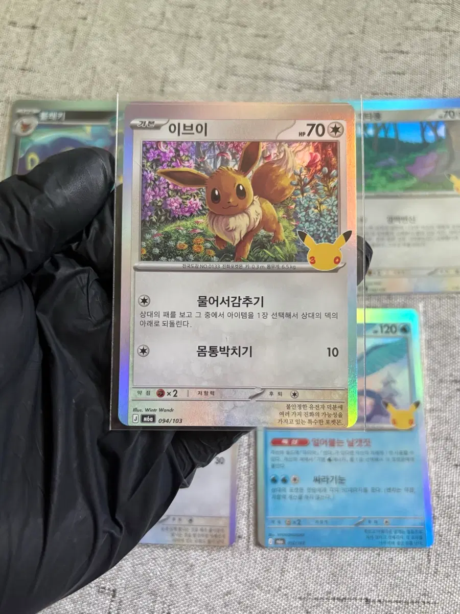 30주년 에러카드 이브이