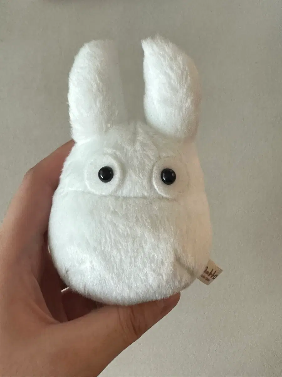 토토로 흰토토로 인형