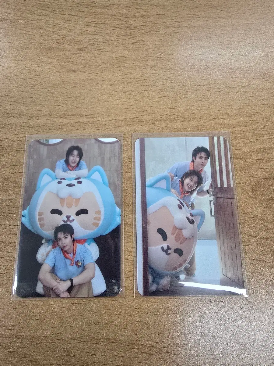 zeenunew still with you 포토카드