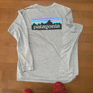 Patagonia 긴팔 티셔츠 그레이