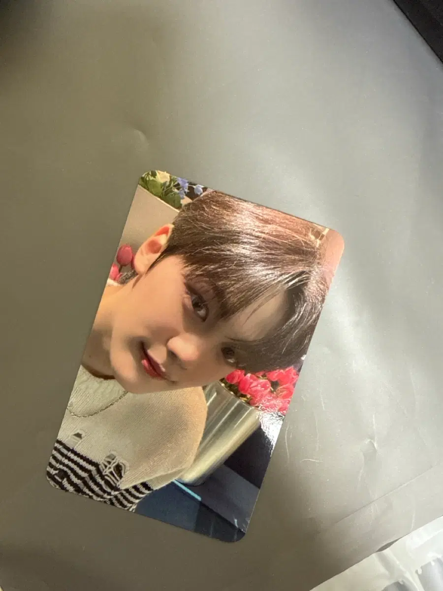 김규빈 포카