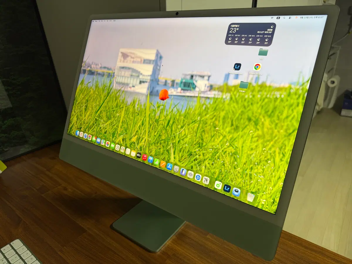 애플 아이맥 24인치 그린 M4 16GB 256GB