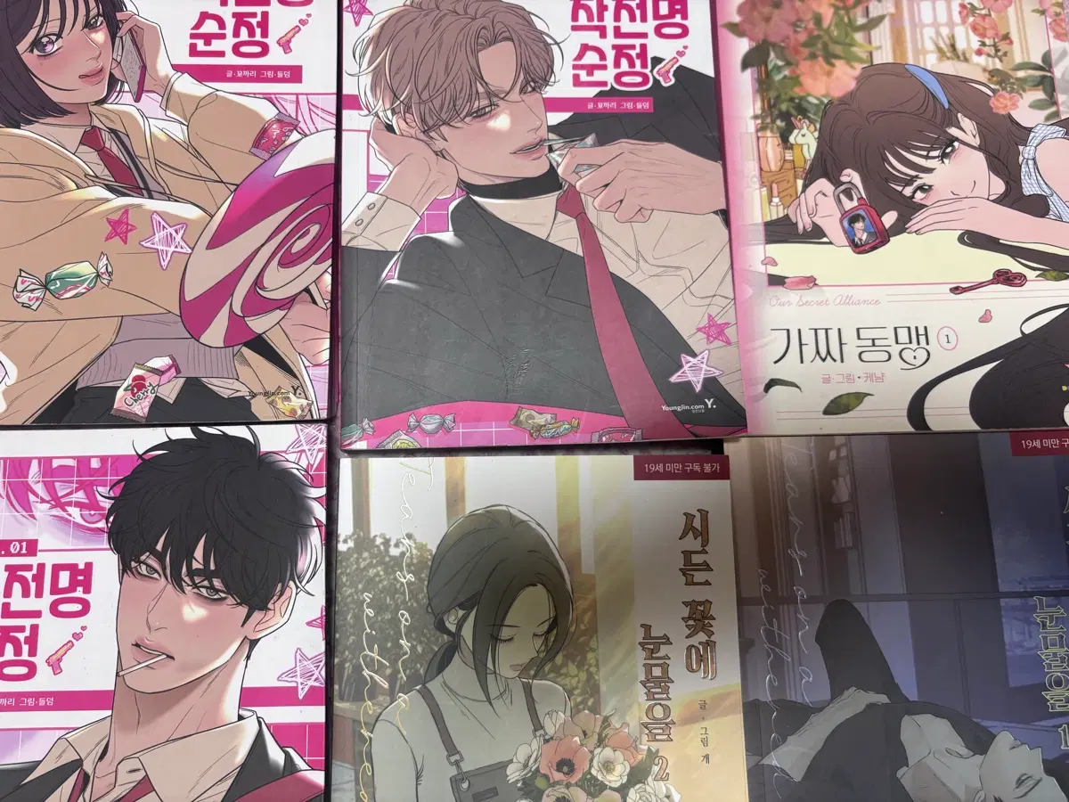 웹툰 단행본