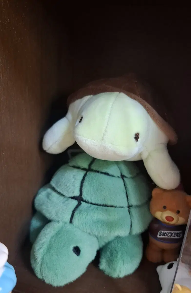 일본 거북이 인형 일괄 미피 거북 아쿠아리움